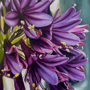 Blackjack Agapanthus Painting by Melissa Eybers