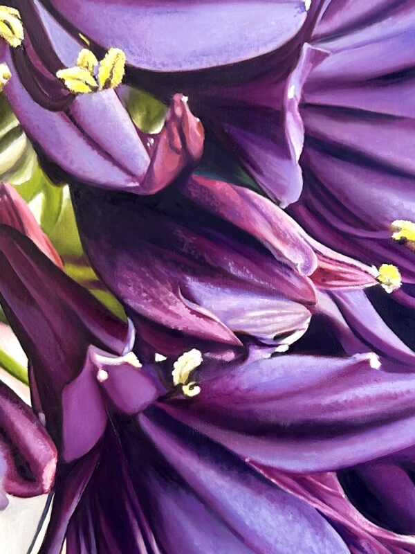 Close up on Blackjack Agapanthus oil painting by Melissa Eybers