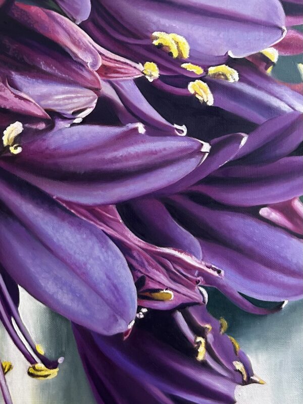 Close up on Blackjack Agapanthus oil painting by Melissa Eybers