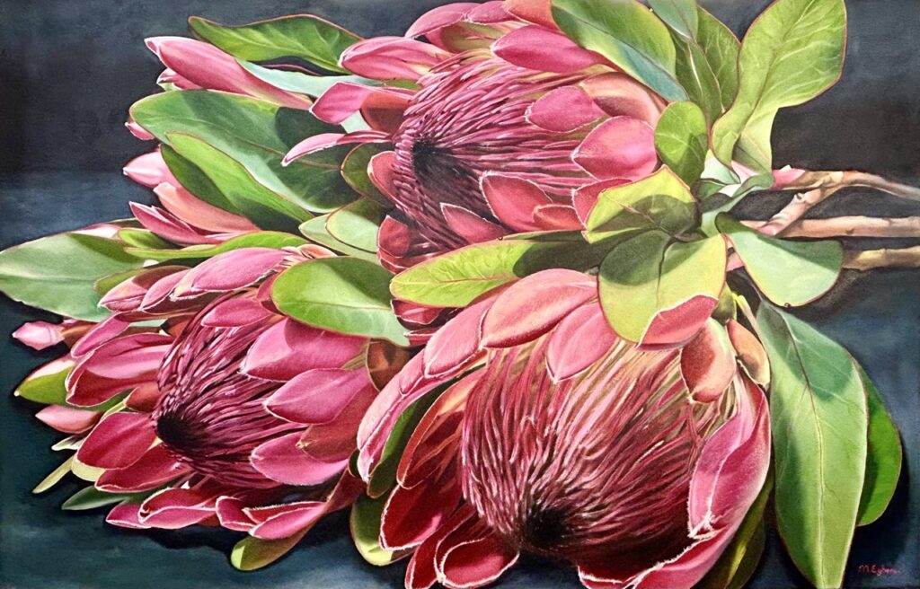 Proteas oil painting by Melissa Eybers