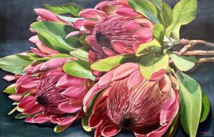Proteas oil painting by Melissa Eybers