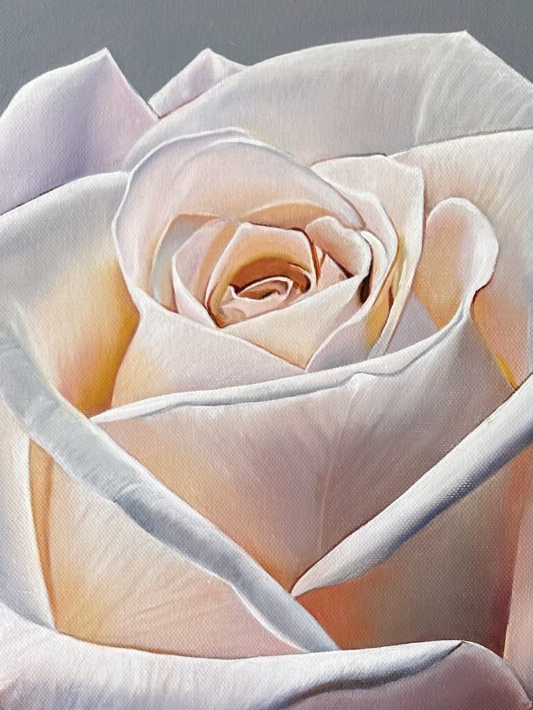 Close up of rose oil painting by Melissa Eybers