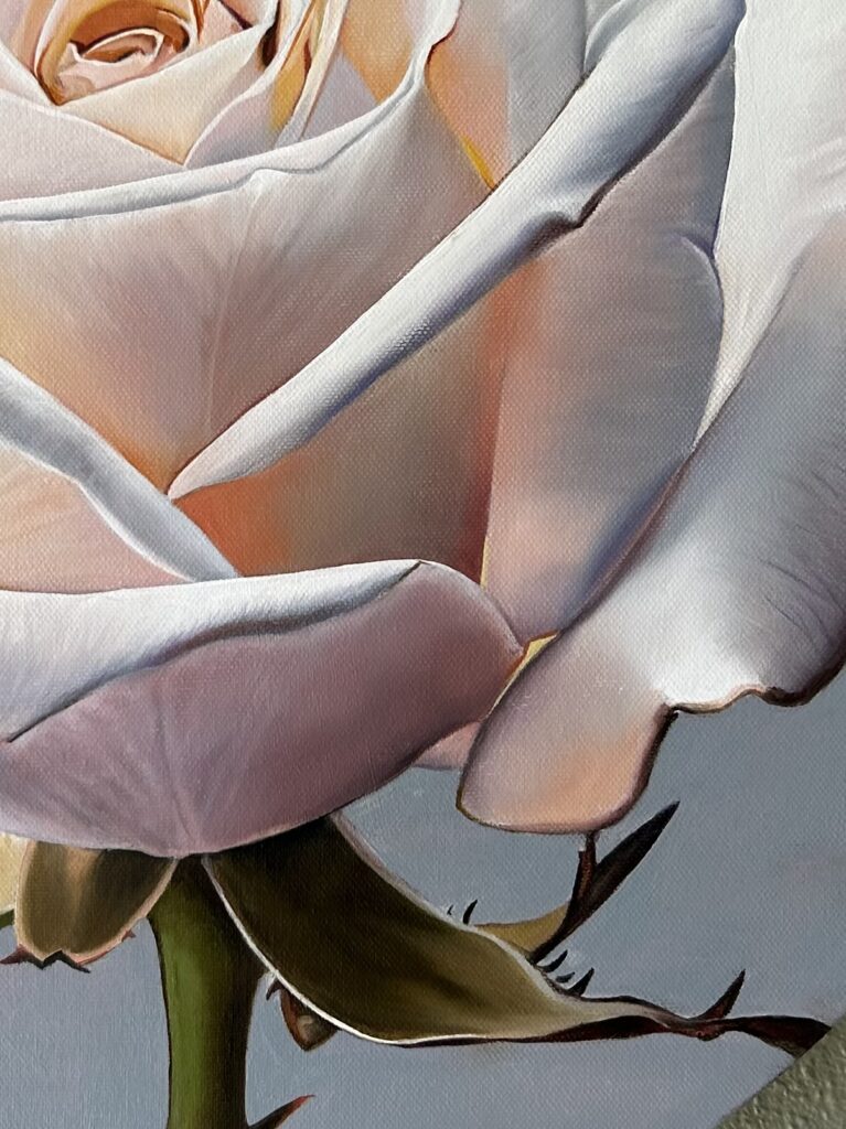 Close up of rose oil painting by Melissa Eybers