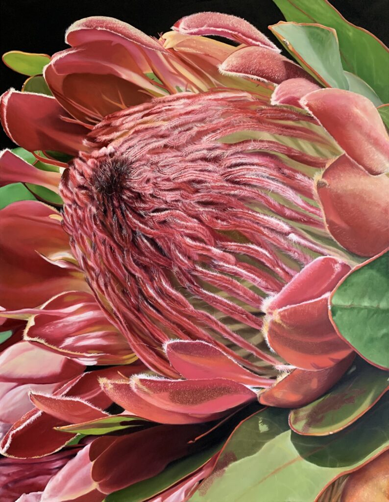 Protea Oil Painting by Melissa Eybers