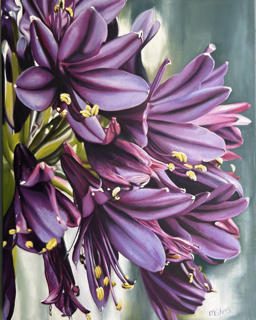 Blackjack Agapanthus oil painting by Melissa Eybers