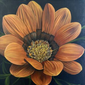 Orange Gazania oil painting by Melissa Eybers