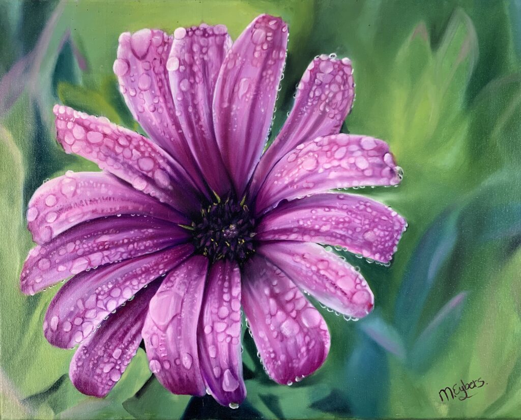 African daisy oil painting by Melissa Eybers