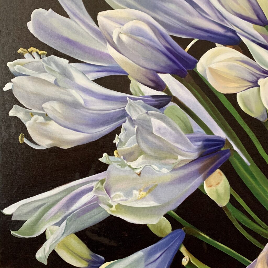 Agapanthus Closeup oil painting by Melissa Eybers