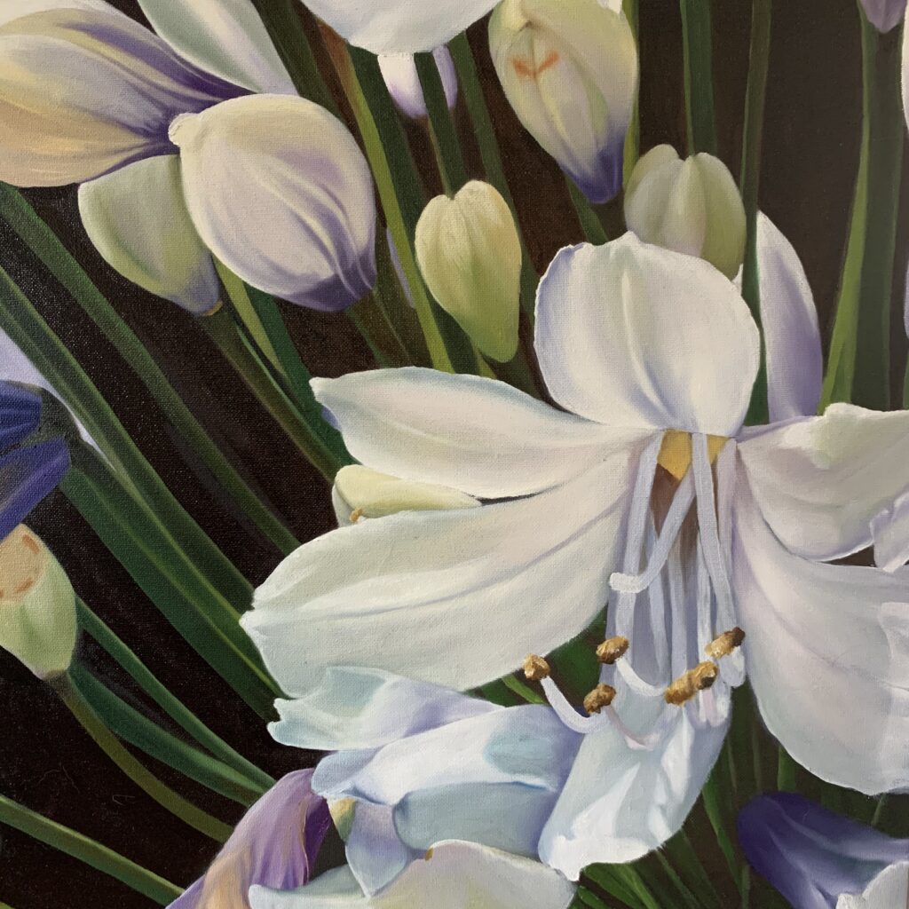 Agapanthus Closeup oil painting by Melissa Eybers