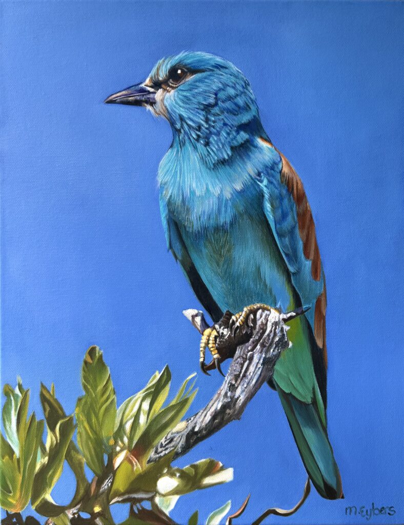 European Roller bird oil painting by Melissa Eybers