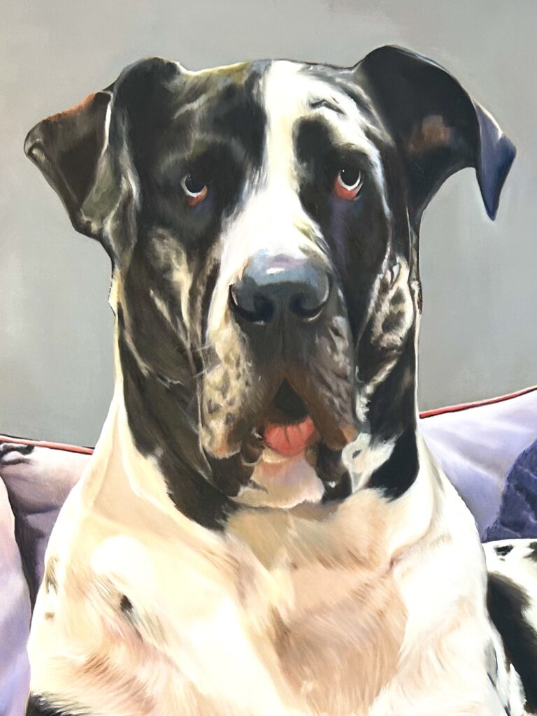 Great Dane Commissioned oil painting by Melissa Eybers closeup