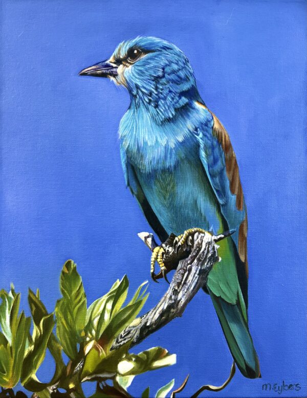 European Roller OIl Painting by Melissa Eybers