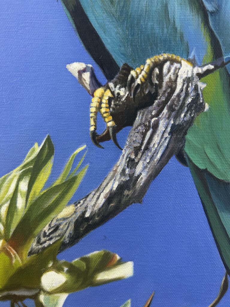 Close up of European Roller oil painting by Melissa Eybers