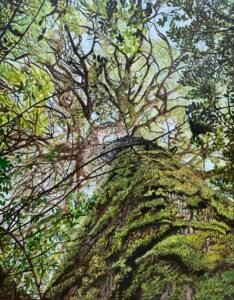 Tree Commission Oil Painting by Melissa Eybers