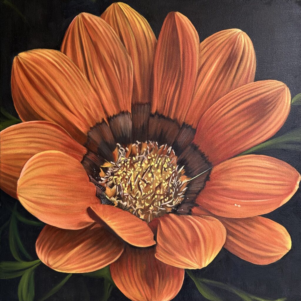 Gazania oil painting by Melissa Eybers